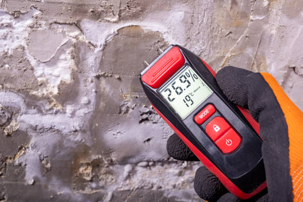 Best Attic Mold Removal  in Harrisburg, OR